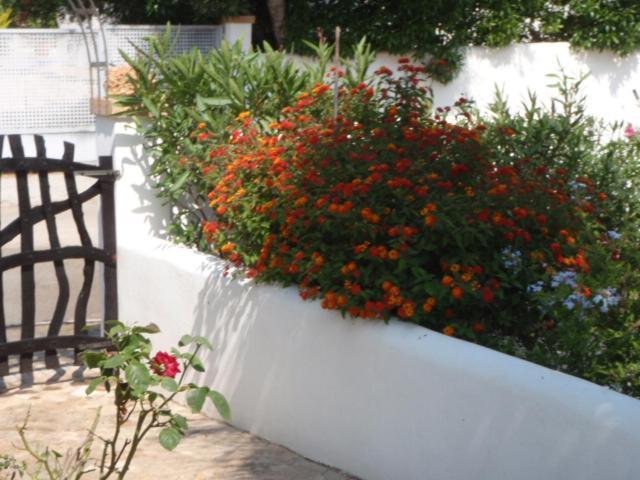 Casa vacanze Carpe Diem