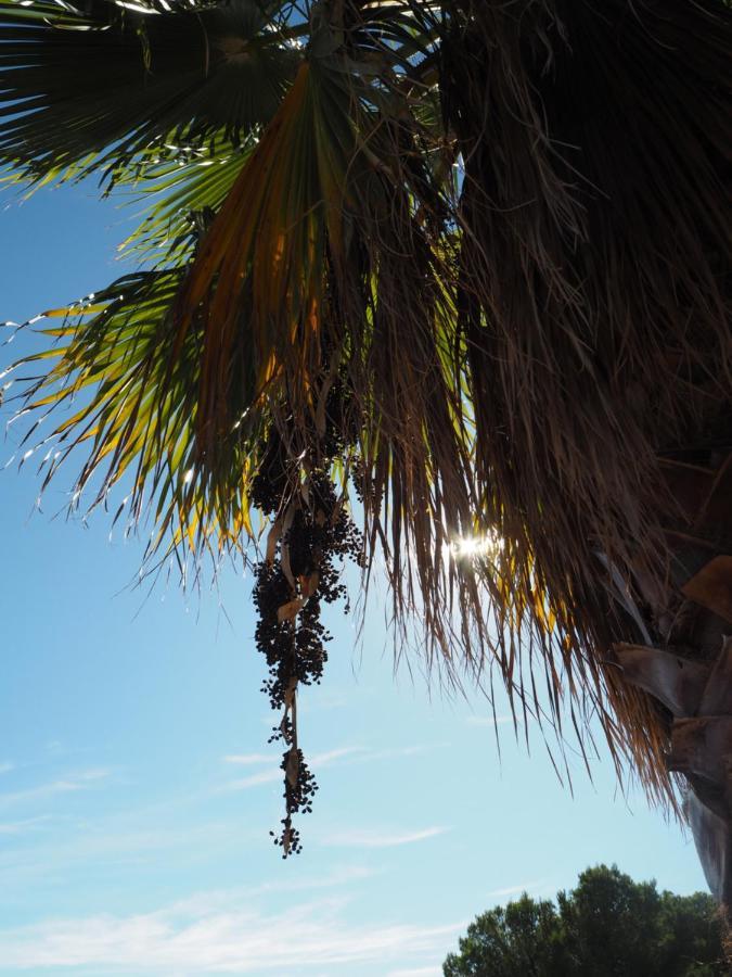 Holiday home Carpe Diem Sa Rapita